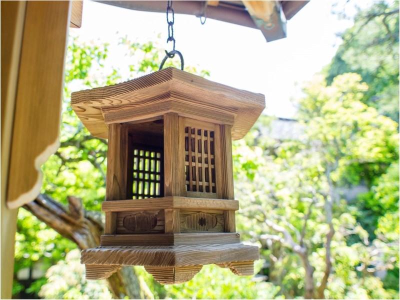 ゆとうや旅館 豊岡市 エクステリア 写真