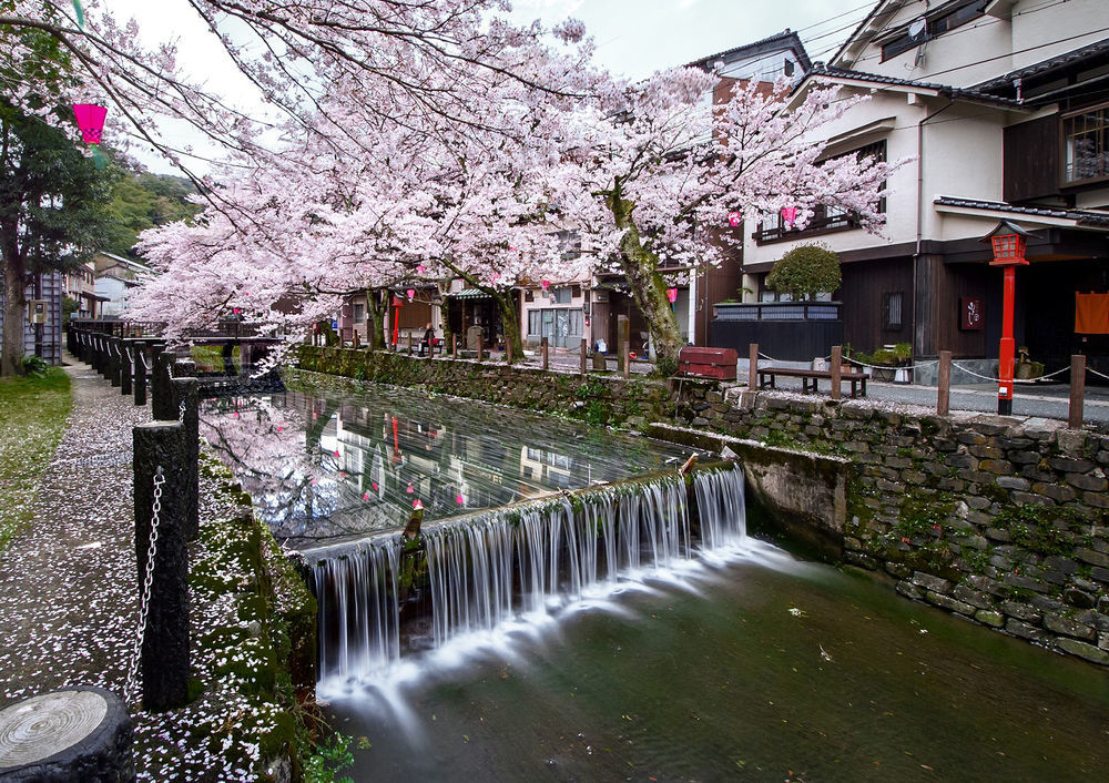 ゆとうや旅館 豊岡市 エクステリア 写真