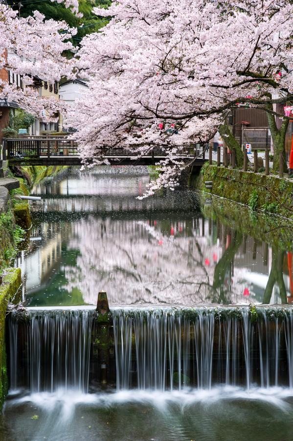 ゆとうや旅館 豊岡市 エクステリア 写真