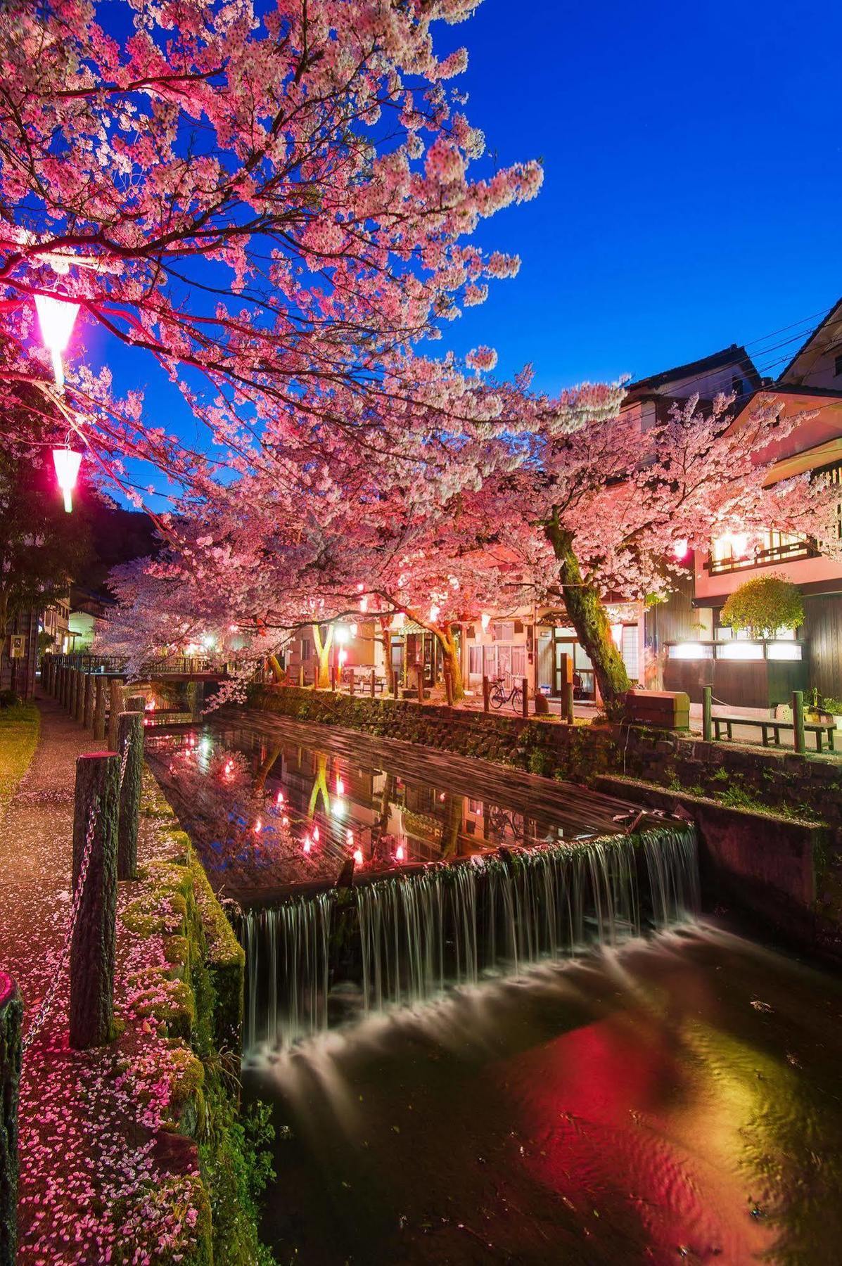 ゆとうや旅館 豊岡市 エクステリア 写真